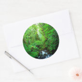 Sticker Rond A stream en old-growth forest (Enveloppe)