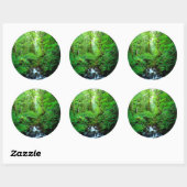 Sticker Rond A stream en old-growth forest (Feuille)