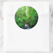 Sticker Rond A stream en old-growth forest (Sac)