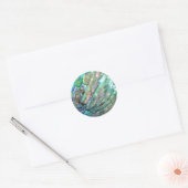 Sticker Rond Abalone (Enveloppe)