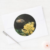 Sticker Rond abeille (Enveloppe)