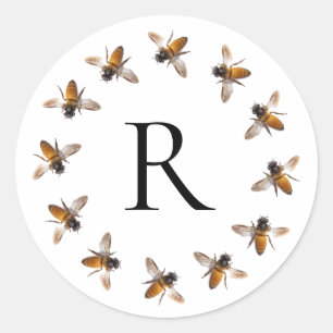 Sticker Rond Abeille de miel, abeille, abeille, insecte
