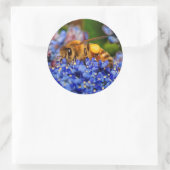 Sticker Rond Abeille de miel sur le Lilac de Californie (Sac)