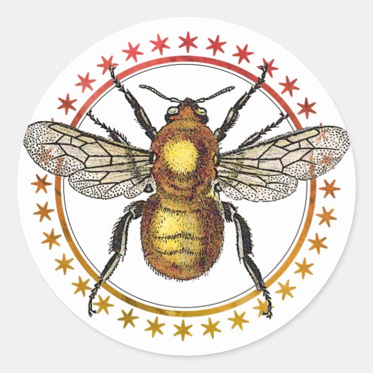 Sticker Rond Abeille D'Or Et Étoiles (Devant)