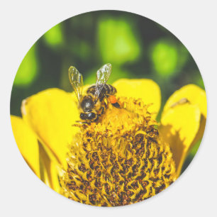 Sticker Rond abeille n fleur jaune