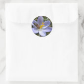 Sticker Rond abeille sur crocus (Sac)