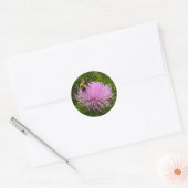 Sticker Rond Abeille sur Fleur de Chardon Nature (Enveloppe)