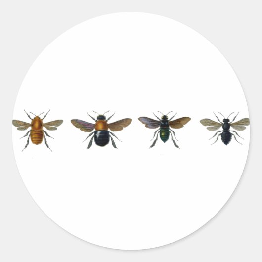 Sticker Rond Abeilles (Devant)