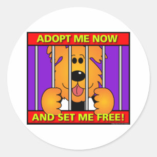 Sticker Rond Abri-Chien
