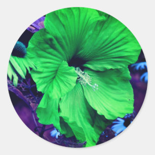 Sticker Rond Abstraite de fleurs d'Hibiscus vert