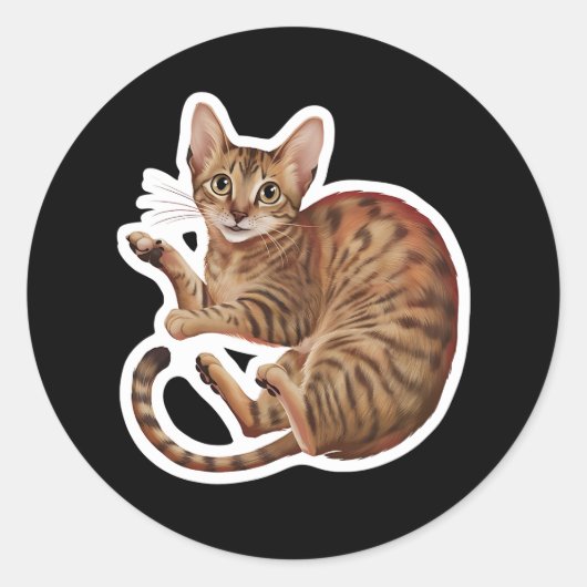 Sticker Rond Abyssinian (Devant)