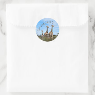 Sticker Rond Accent Safari Croissance