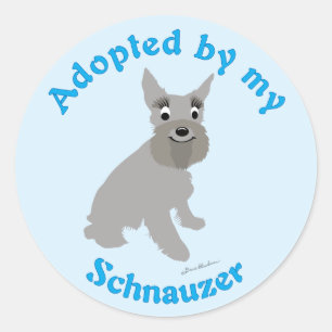 Sticker Rond Adopté par mon Schnauzer