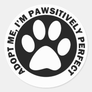 Sticker Rond Adoptez-moi, je suis Pawsitively parfait