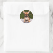 Sticker Rond Adorable Chihuahua Chien Chiot (Sac)