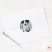 Sticker Rond adorable Chiot noir et blanc (Enveloppe)
