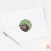 Sticker Rond Adorable Cocker Spaniel (Enveloppe)