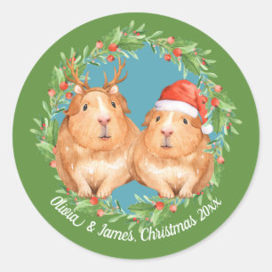 Sticker Rond adorable Guinée Cochon Couple de Noël