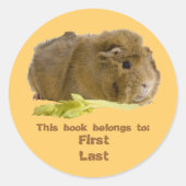 Sticker Rond Adorable Guinée Cochon Mange Céleri Photographie (Devant)