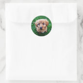 Sticker Rond Adorable photo classique de chiot (Sac)