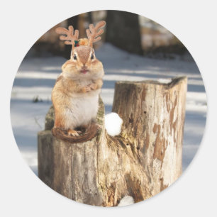 Sticker Rond Adorable "Reindeer" Chipmunk