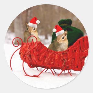 Sticker Rond Adorable Santa Baby Chipmunks à Sleigh
