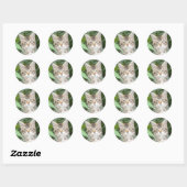 Sticker Rond Adorable Tabby Kitten (Feuille)