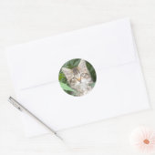 Sticker Rond Adorable Tabby Kitten (Enveloppe)