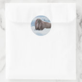 Sticker Rond Adorable Walrus (Sac)