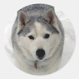 Sticker Rond Adoration totale