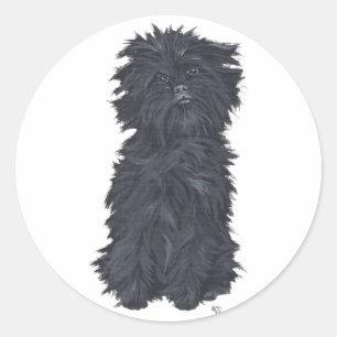 Sticker Rond Affenpinscher