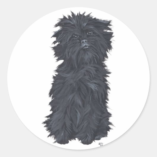 Sticker Rond Affenpinscher assis (Devant)