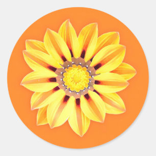 Sticker Rond African Daisy / Gazania - Orange et Jaune