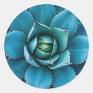 Sticker Rond Agave Succulent Géométrique Sarcelle Vibrante en M