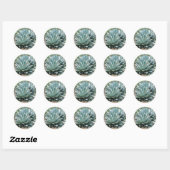 Sticker Rond Agave Succulent Plante Cactus Vert sauge (Feuille)