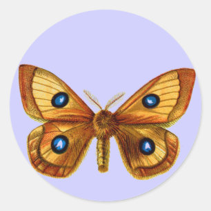 Sticker Rond Aglia Tau