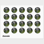 Sticker Rond Agneau (Feuille)