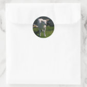 Sticker Rond Agneau (Sac)
