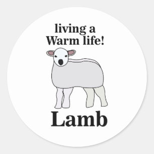 Sticker Rond Agneau vivant une vie chaleureuse Agneau drôle