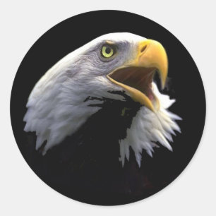 Sticker Rond Aigle