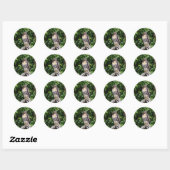 Sticker Rond Aigle à queue rouge juvénile (Feuille)