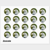 Sticker Rond Aigle à tête blanche américaine (Feuille)