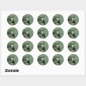 Sticker Rond Aigle à tête blanche perché sur une branche d'arbr (Feuille)