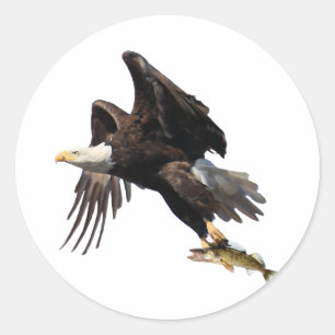 Sticker Rond Aigle avec poisson