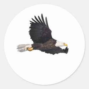 Sticker Rond Aigle chauve américain