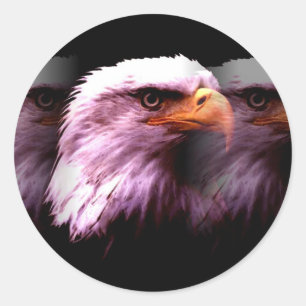 Sticker Rond Aigle d'Amérique
