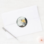 Sticker Rond Aigle de Bald (Enveloppe)