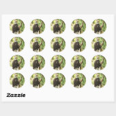 Sticker Rond Aigle de Bald (Feuille)