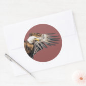 Sticker Rond Aigle de Bald sur l'aile (Enveloppe)