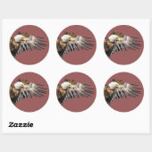 Sticker Rond Aigle de Bald sur l'aile (Feuille)